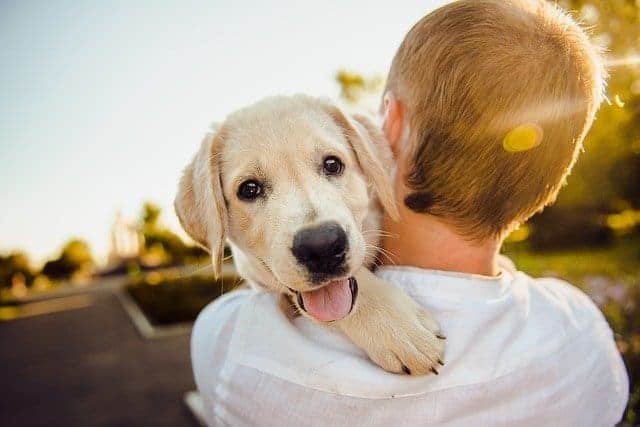 cadeau dierendag