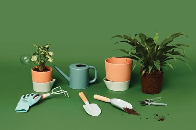 Tuincadeaus 2 Planten in potten, blauwe gieter, gestapelde lege potten, handschoen en tuingereedschap op groene achtergrond.