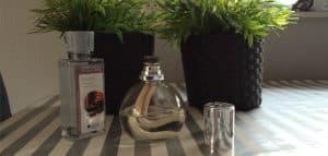 Twee geurdiffusers en twee zwarte plantenpotten met groene planten op gestreept tafelkleed.